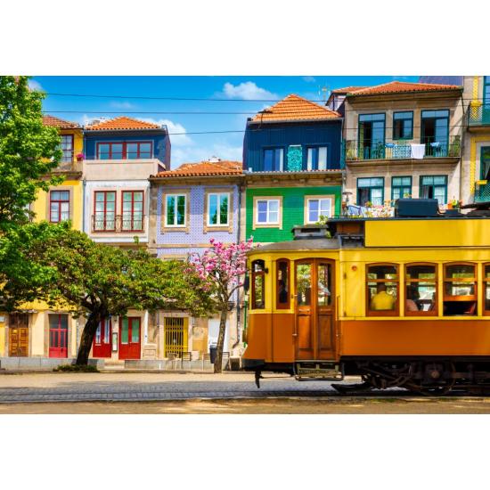 Puzzle Bluebird Verano en Oporto de 1000 Piezas