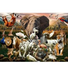 Puzzle Brain Tree Animales de 500 Piezas