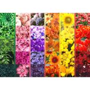 Puzzle Brain Tree Colores Florales de 1000 Piezas