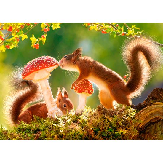 Puzzle Castorland Ardillas Del Bosque de 260 Piezas Puzzle Castorland Ardillas Del Bosque de 260 Piezas