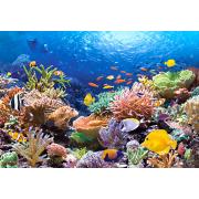 Puzzle Castorland Arrecife de Coral de 1000 Piezas