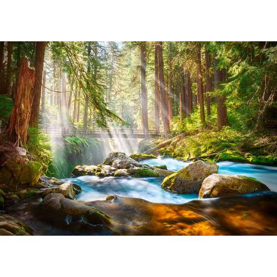 Puzzle Castorland Bosque de Luz 500 Piezas