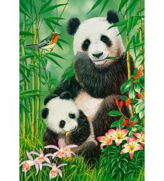 Puzzle Castorland Brunch de Pandas de 1000 Piezas