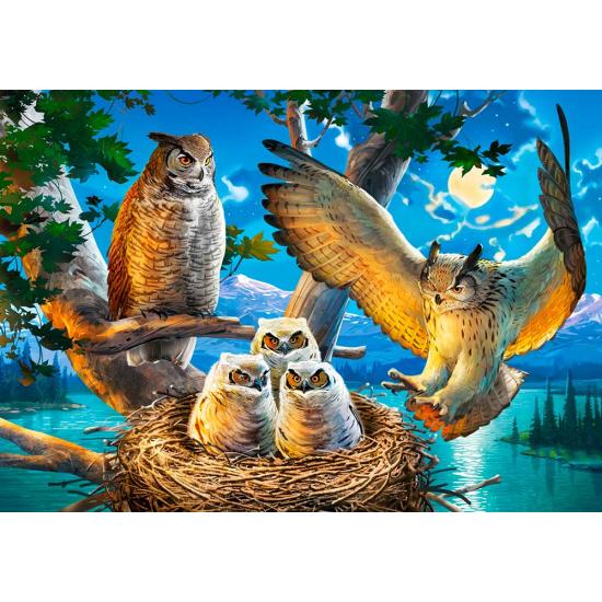 Puzzle Castorland Búhos En Familia de 500 Piezas Puzzle Castorland Búhos En Familia de 500 Piezas