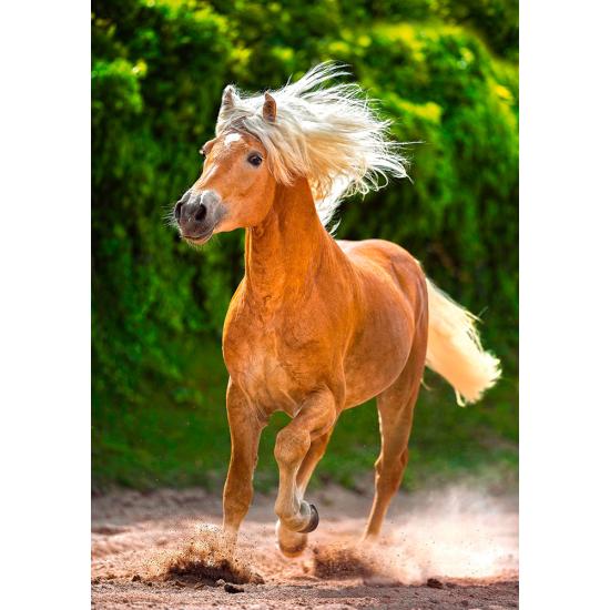 Puzzle Castorland Caballo Corredor Haflinger de 500 Piezas