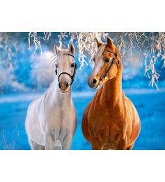 Puzzle Castorland Caballos de Invierno de 260 Piezas