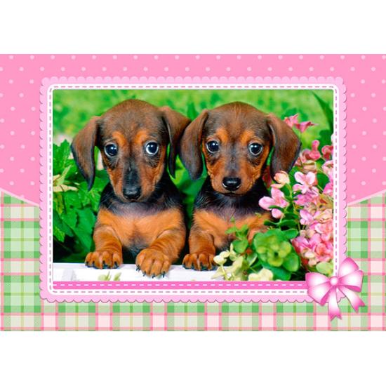 Puzzle Castorland Cachoros de Perros Salchichas 120 Piezas