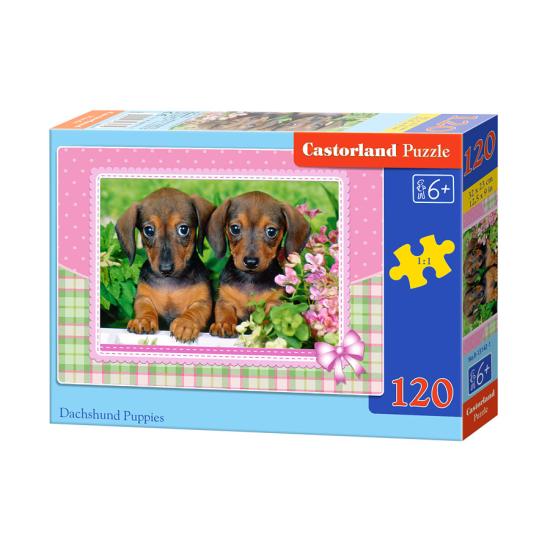 Puzzle Castorland Cachoros de Perros Salchichas 120 Piezas