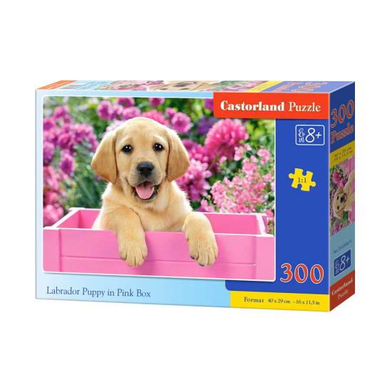 Puzzle Castorland Cachorro de Labrador en Cesta Rosa 300 Piezas