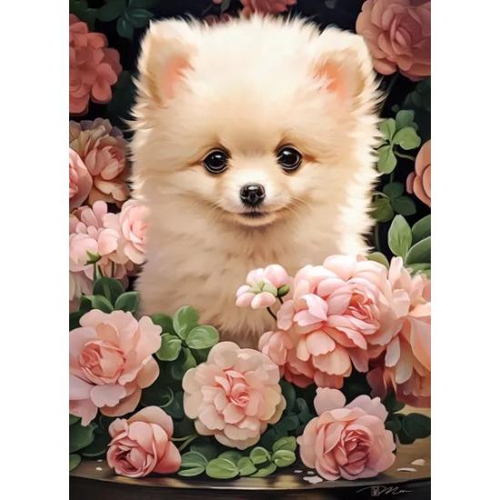 Puzzle Castorland Cachorro en Pomerania en Rosas de 300 Pzs