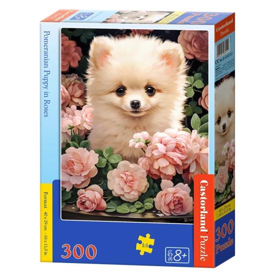 Puzzle Castorland Cachorro en Pomerania en Rosas de 300 Pzs