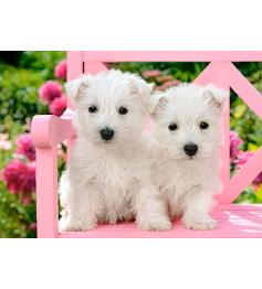 Puzzle Castorland Cachorros Blancos Terrier de 120 Piezas