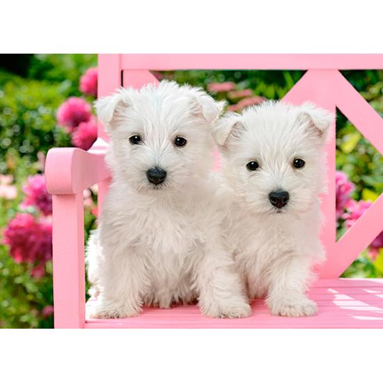 Puzzle Castorland Cachorros Blancos Terrier de 120 Piezas Puzzle Castorland Cachorros Blancos Terrier de 120 Piezas