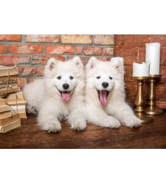 Puzzle Castorland Cachorros de Samoyedo Saludan de 1000 Piezas