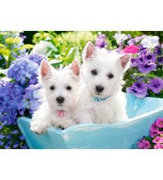 Puzzle Castorland Cachorros de Westie de 200 Piezas