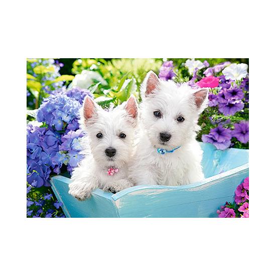 Puzzle Castorland Cachorros de Westie de 60 Piezas