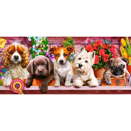 Puzzle Castorland Cachorros en un Estante de 600 Pzs