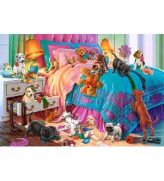 Puzzle Castorland Cachorros Traviesos de 1000 Piezas
