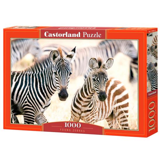 Puzzle Castorland Cebras Jóvenes de 1000 Pzs Puzzle Castorland Cebras Jóvenes de 1000 Pzs