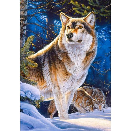 Puzzle Castorland Centinela de 1000 Piezas Puzzle Castorland Centinela de 1000 Piezas