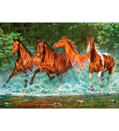 Puzzle Castorland Corriendo en la Cascada de 300 Piezas