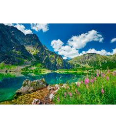 Puzzle Castorland Czarny Staw Pod Rysami, Montañas Tatra de 500