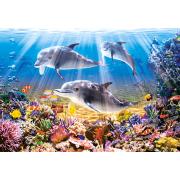 Puzzle Castorland Delfines Bajo el Agua de 500 Piezas