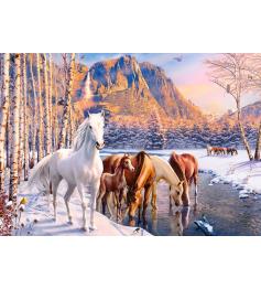 Puzzle Castorland Deshielo en Invierno de 500 Piezas