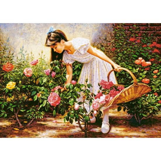 Puzzle Castorland El Jardín de Rosas de 1000 Piezas