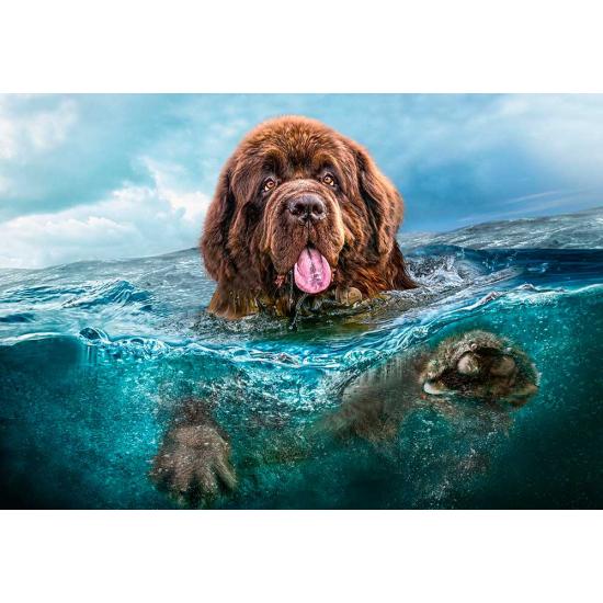 Puzzle Castorland El Naufrago de 1000 Piezas