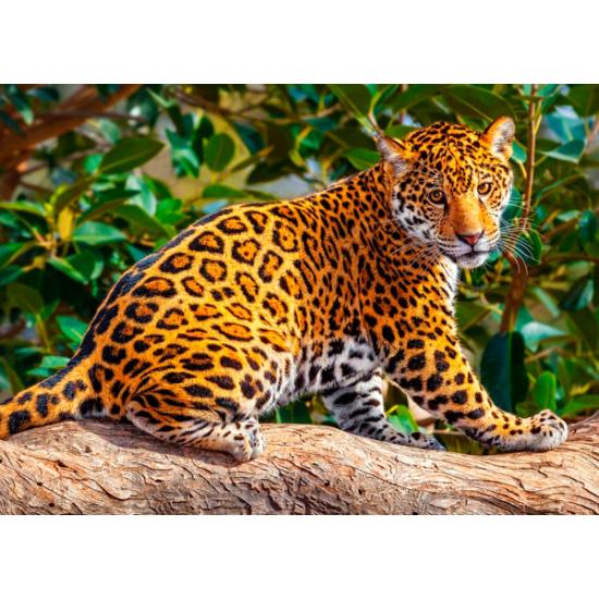 Puzzle Castorland El Pequeño Jaguar de 260 Piezas Puzzle Castorland El Pequeño Jaguar de 260 Piezas