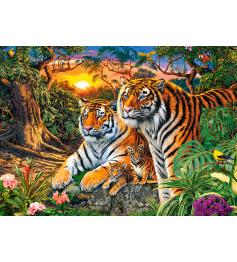 Puzzle Castorland Familia de Tigres de 180 Pzs.