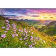 Puzzle Castorland Flores Silvestres al Amanecer de 500 Piezas