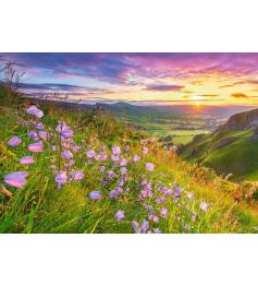 Puzzle Castorland Flores Silvestres al Amanecer de 500 Piezas