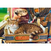 Puzzle Castorland Fothergill, El Gato en la Caja de 500 Piezas