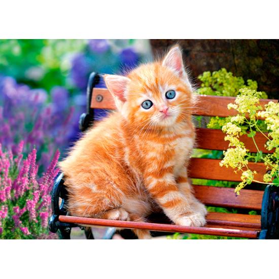 Puzzle Castorland Gatito Rubio de 180 Piezas