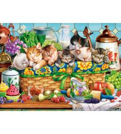 Puzzle Castorland Gatitos Durmiendo de 200 Pzs