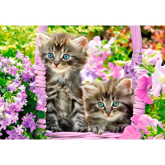 Puzzle Castorland Gatitos en Jardín de Verano de 1000 Piezas Puzzle Castorland Gatitos en Jardín de Verano de 1000 Piezas