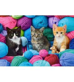 Puzzle Castorland Gatitos en Tienda de Hilos de 1000 Piezas