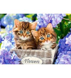 Puzzle Castorland Gatitos Preciosos de 60 Piezas