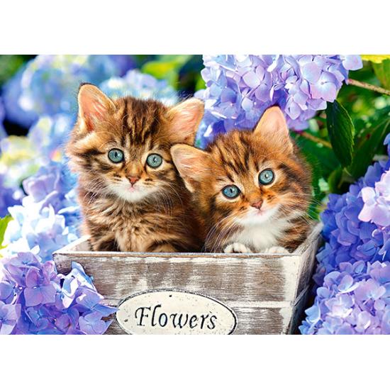 Puzzle Castorland Gatitos Preciosos de 60 Piezas Puzzle Castorland Gatitos Preciosos de 60 Piezas