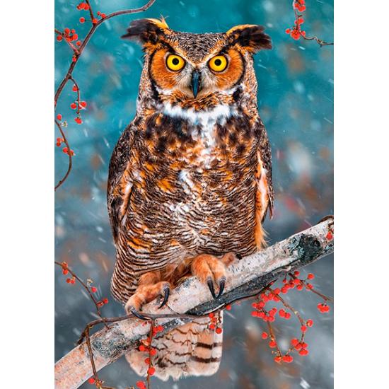 Puzzle Castorland Gran Buho Cornado 260 Piezas