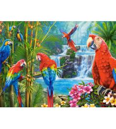 Puzzle Castorland Grupo de Loros de 2000 Piezas