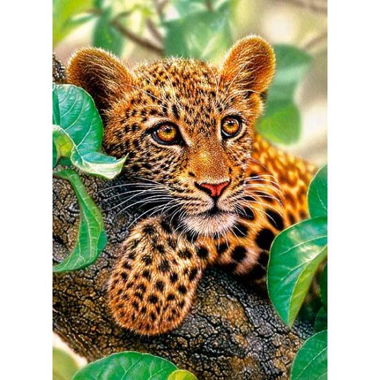 Puzzle Castorland Jaguar Abrazado al Árbol de 300 Piezas Puzzle Castorland Jaguar Abrazado al Árbol de 300 Piezas