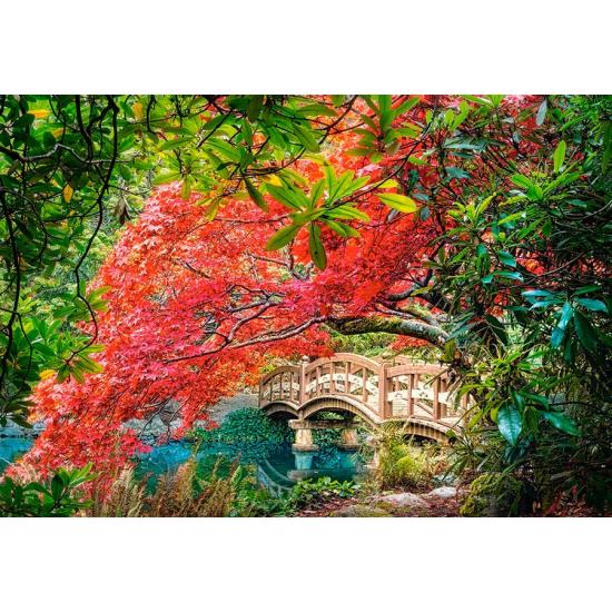 Puzzle Castorland Jardín Japonés de 1000 Piezas Puzzle Castorland Jardín Japonés de 1000 Piezas