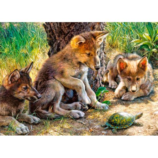 Puzzle Castorland Jugando con una Tortuga de 260 Piezas Puzzle Castorland Jugando con una Tortuga de 260 Piezas