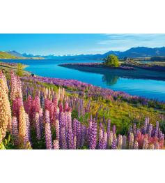 Puzzle Castorland Lago Tekapo, Nueva Zelanda de 500 Piezas