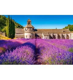 Puzzle Castorland Lavandas en Notre Dame de Senanque de 1000 Pz