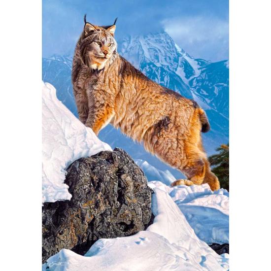 Puzzle Castorland Lince en la Montaña de 1000 Piezas