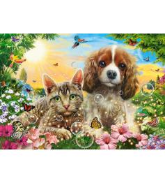Puzzle Castorland Mejores Amigos de 500 Piezas
